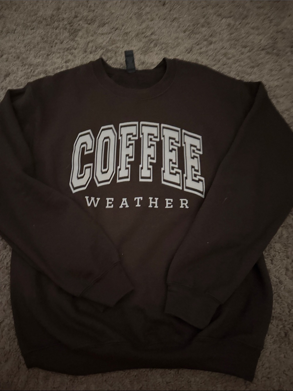 Coffee Weather womans  Crewneck Sweater - Brown